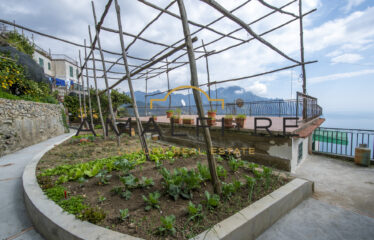 APARTMENT WITH VIEW, GARDEN AND TERRACE