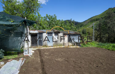 RUSTIC PROPERTY IN SANTA CATERINA OF SCALA