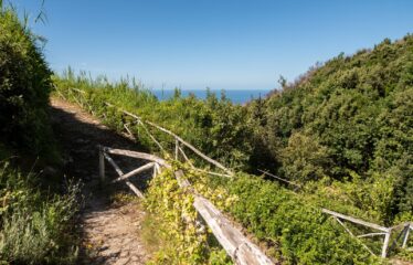 BEAUTIFUL VILLA AT CAPO D’ORSO