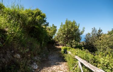 BEAUTIFUL VILLA AT CAPO D’ORSO